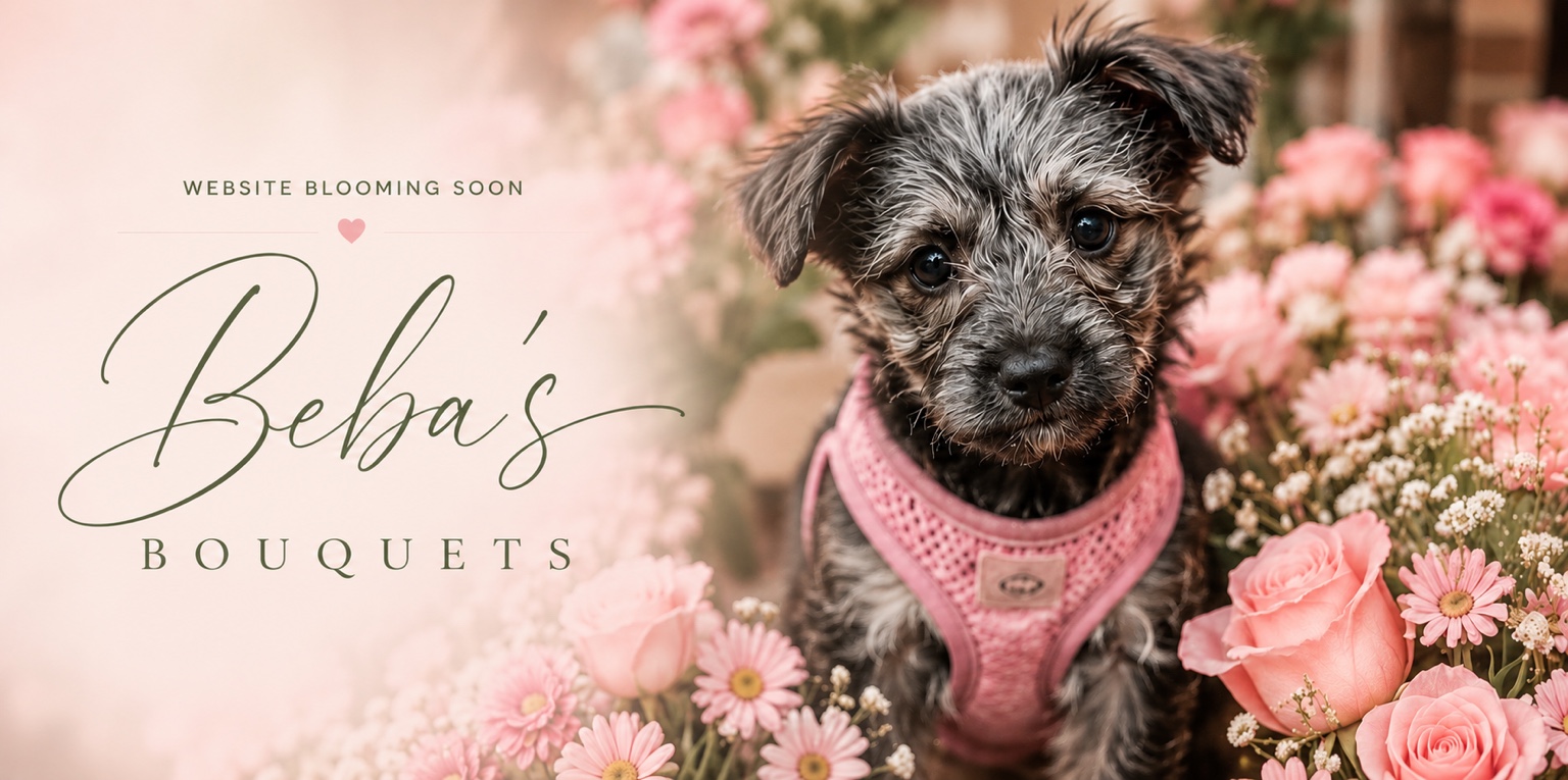 Beba's Bouquets website blooming soon