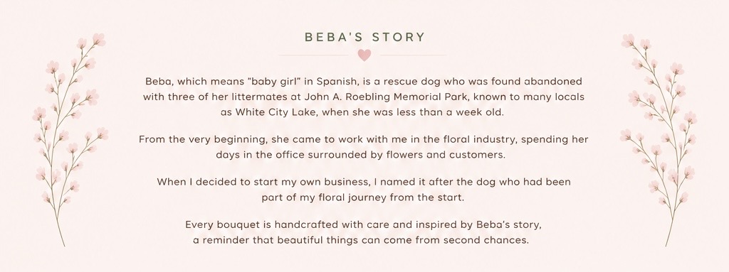 Beba's story